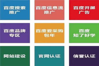 百度竞价与搜索引擎优化（SEO）的协同效应案例